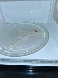 Microwave had old food stains.