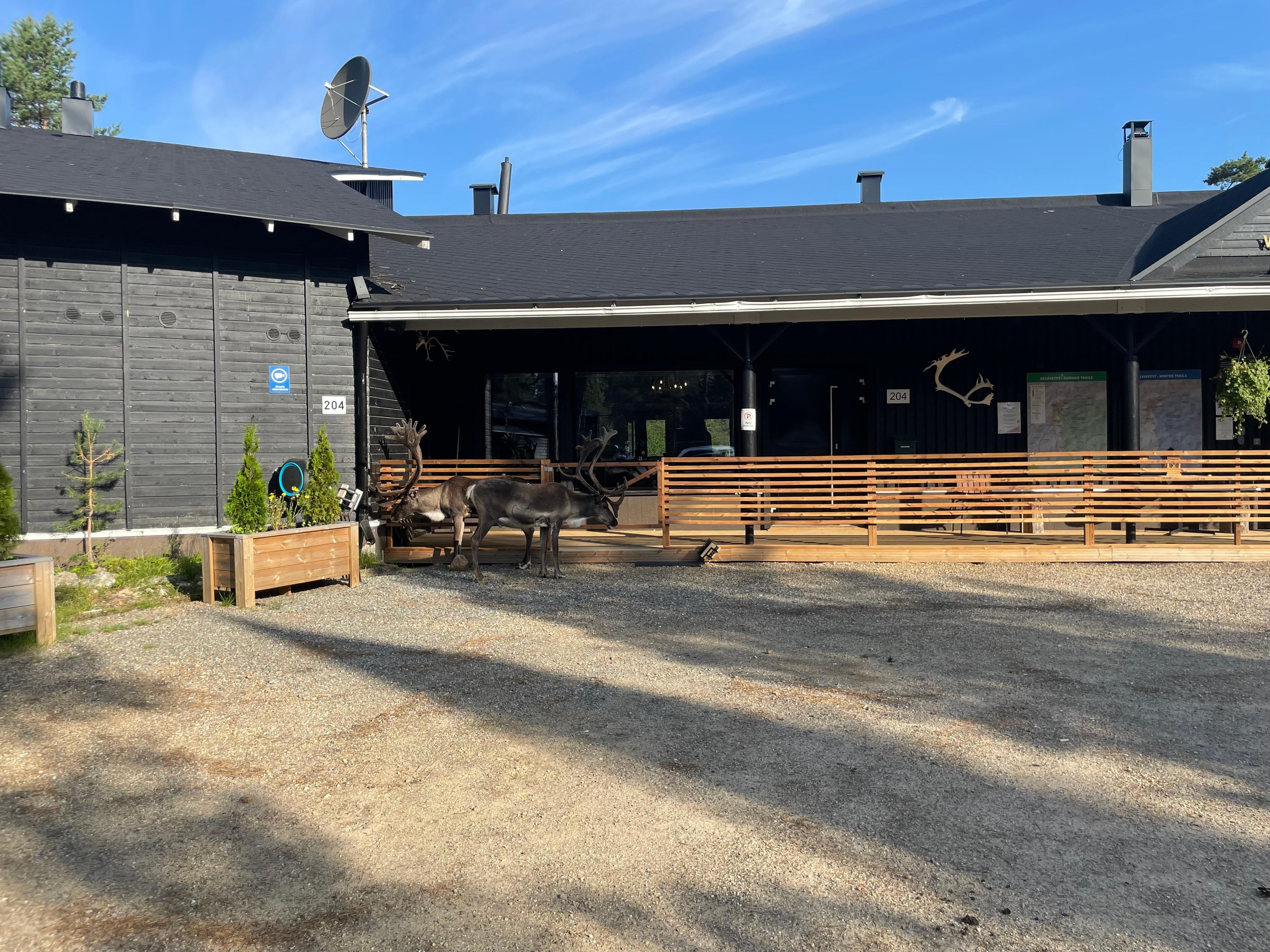 Main building in from of the reindeer