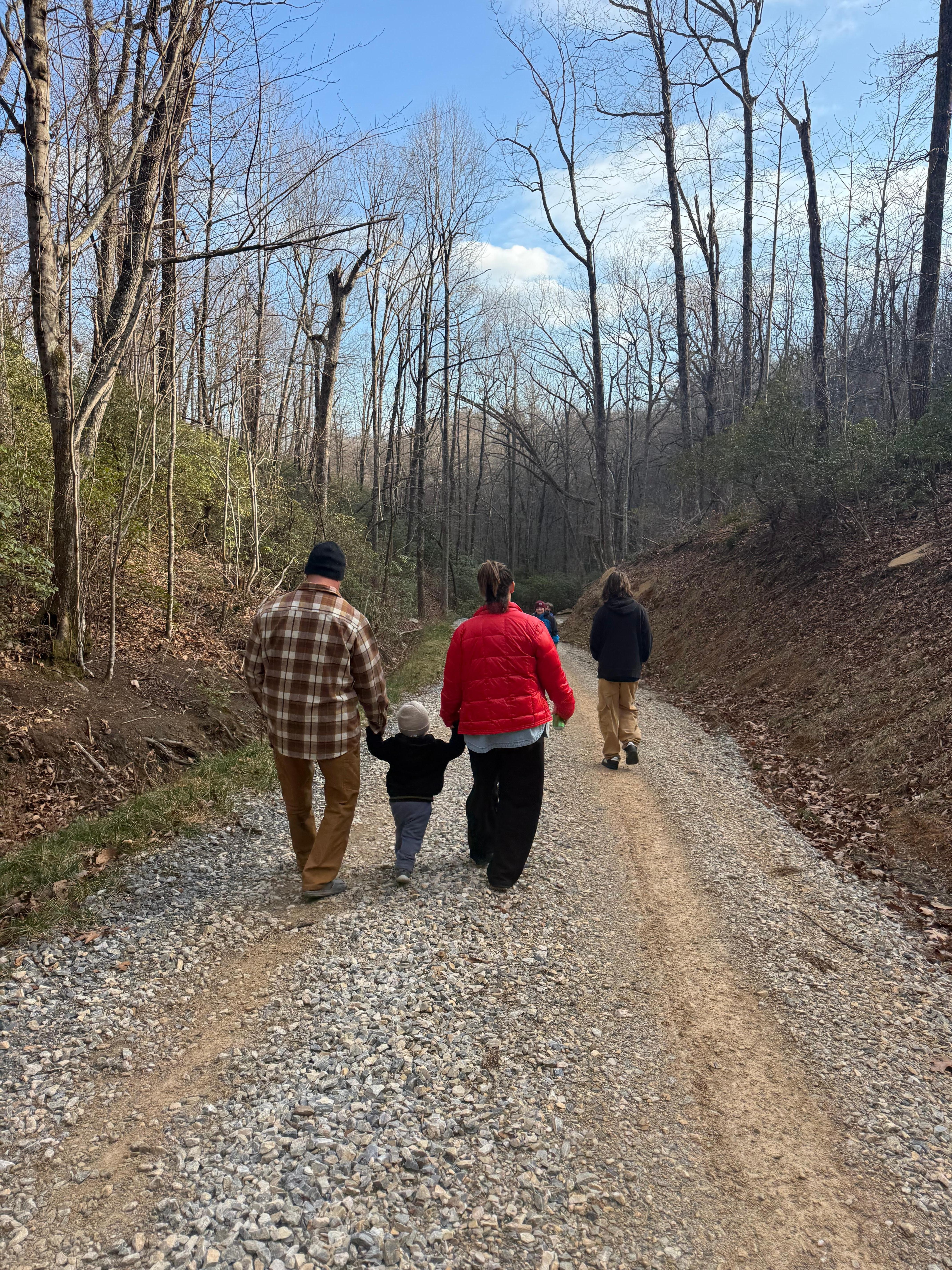 Firepit and S’mores
