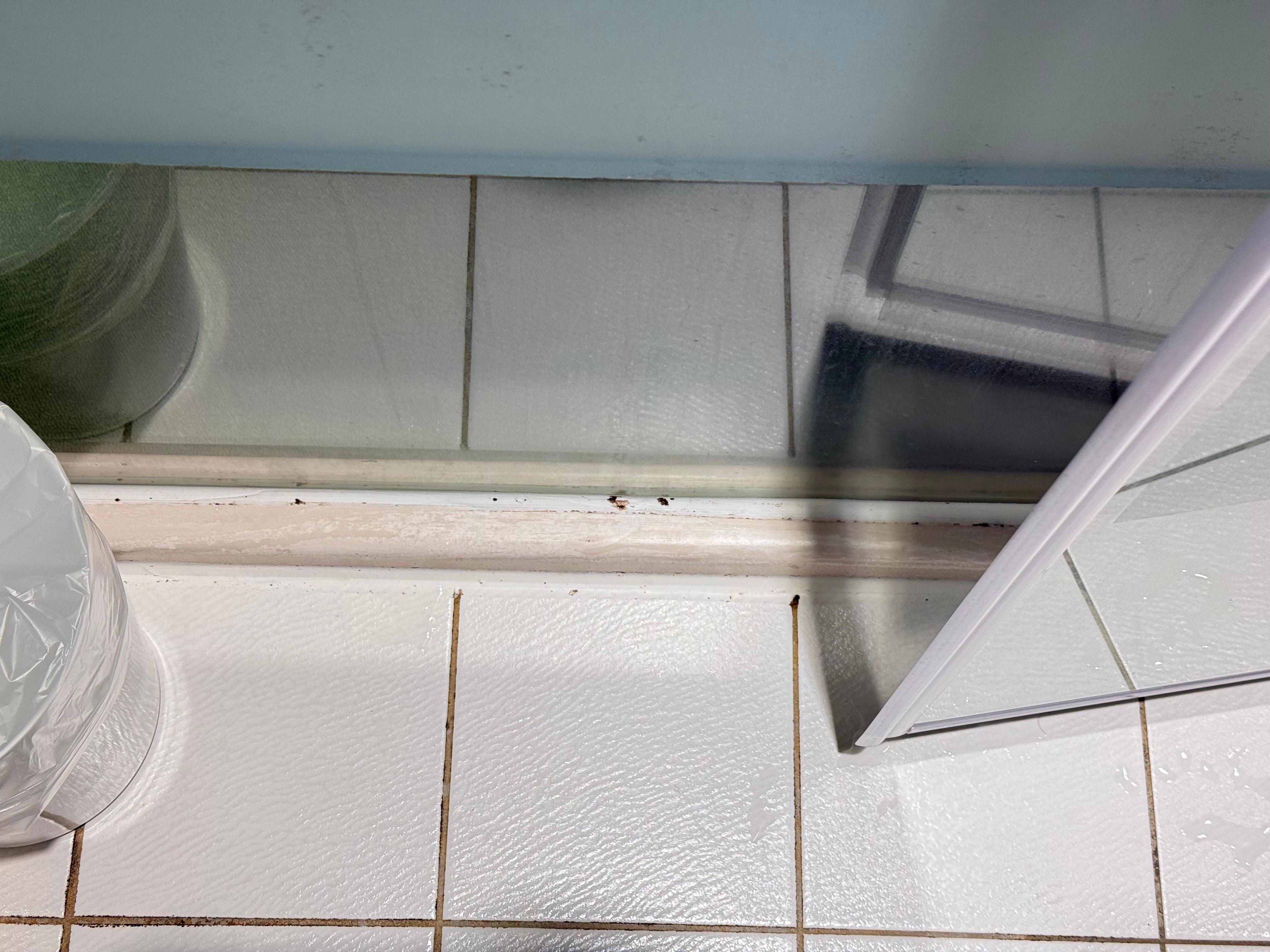 浴廁發霉
Moldy shower room 
シャワールームの隅にカビが発生する