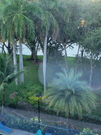 The view from my room window.