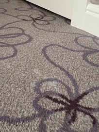 Room service should not be allowed to rooms with full carpets.