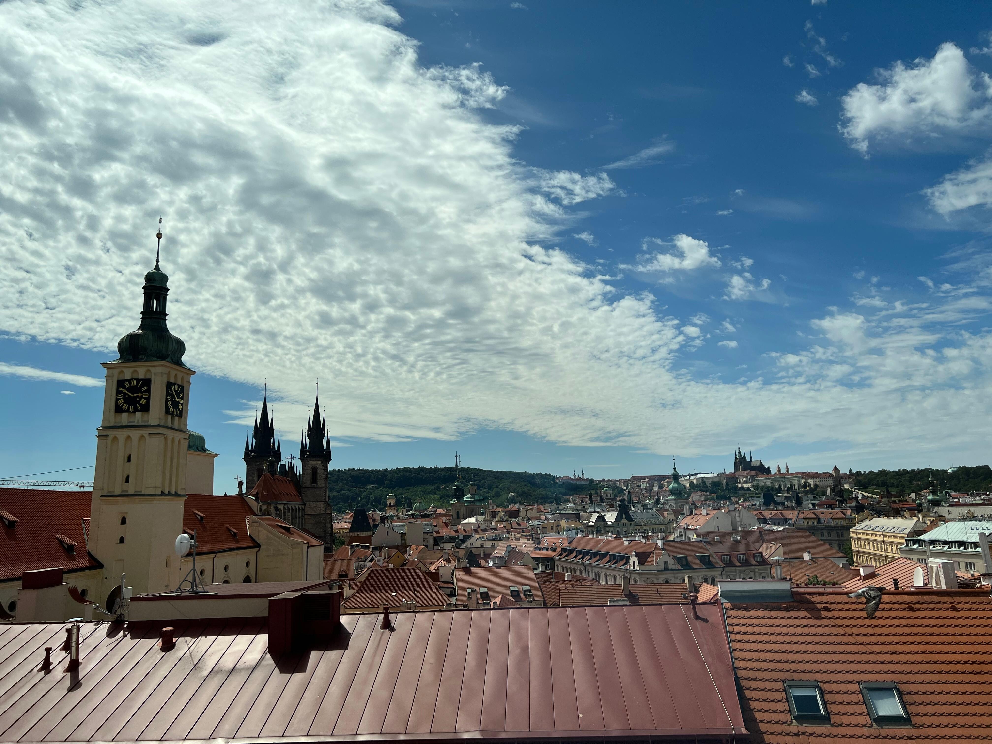 The view from the room.