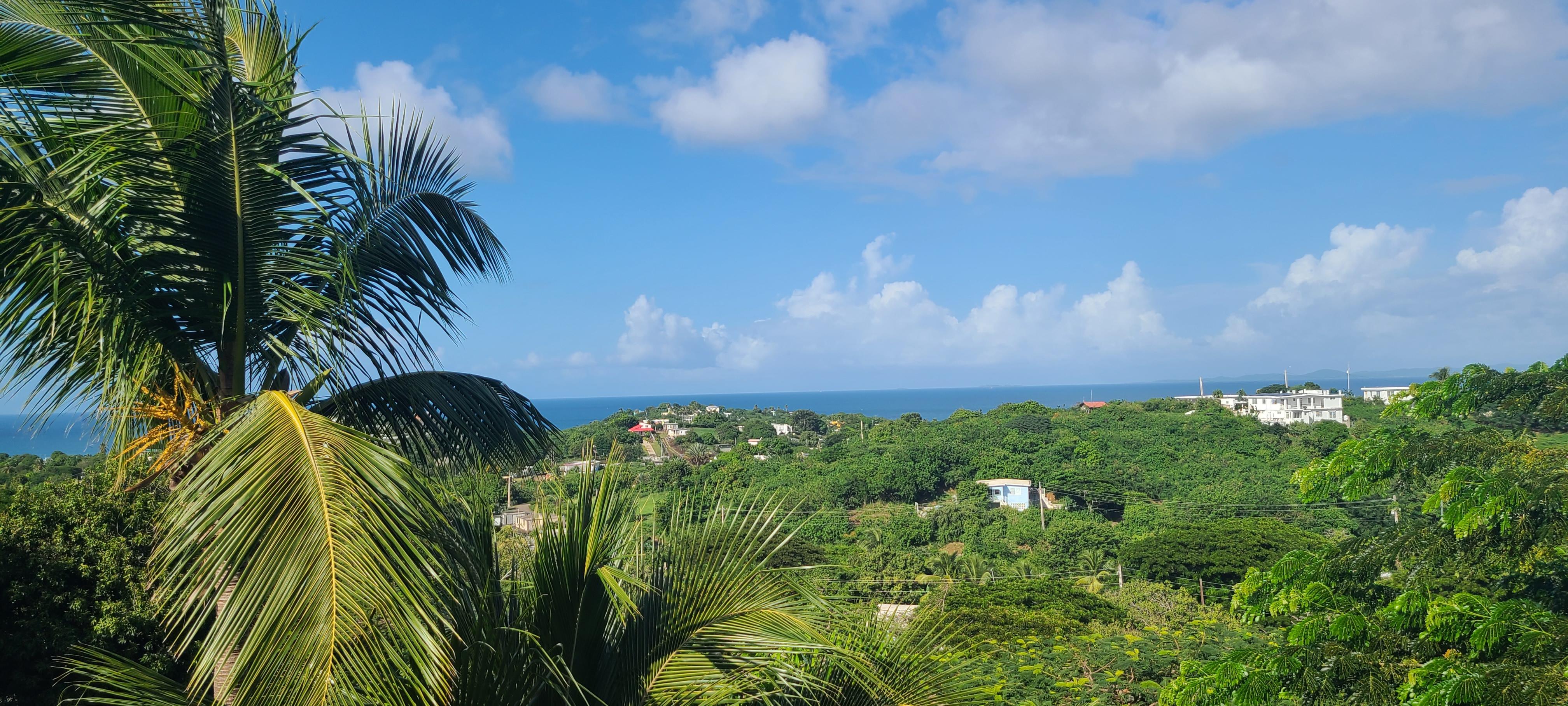 View from Balcony