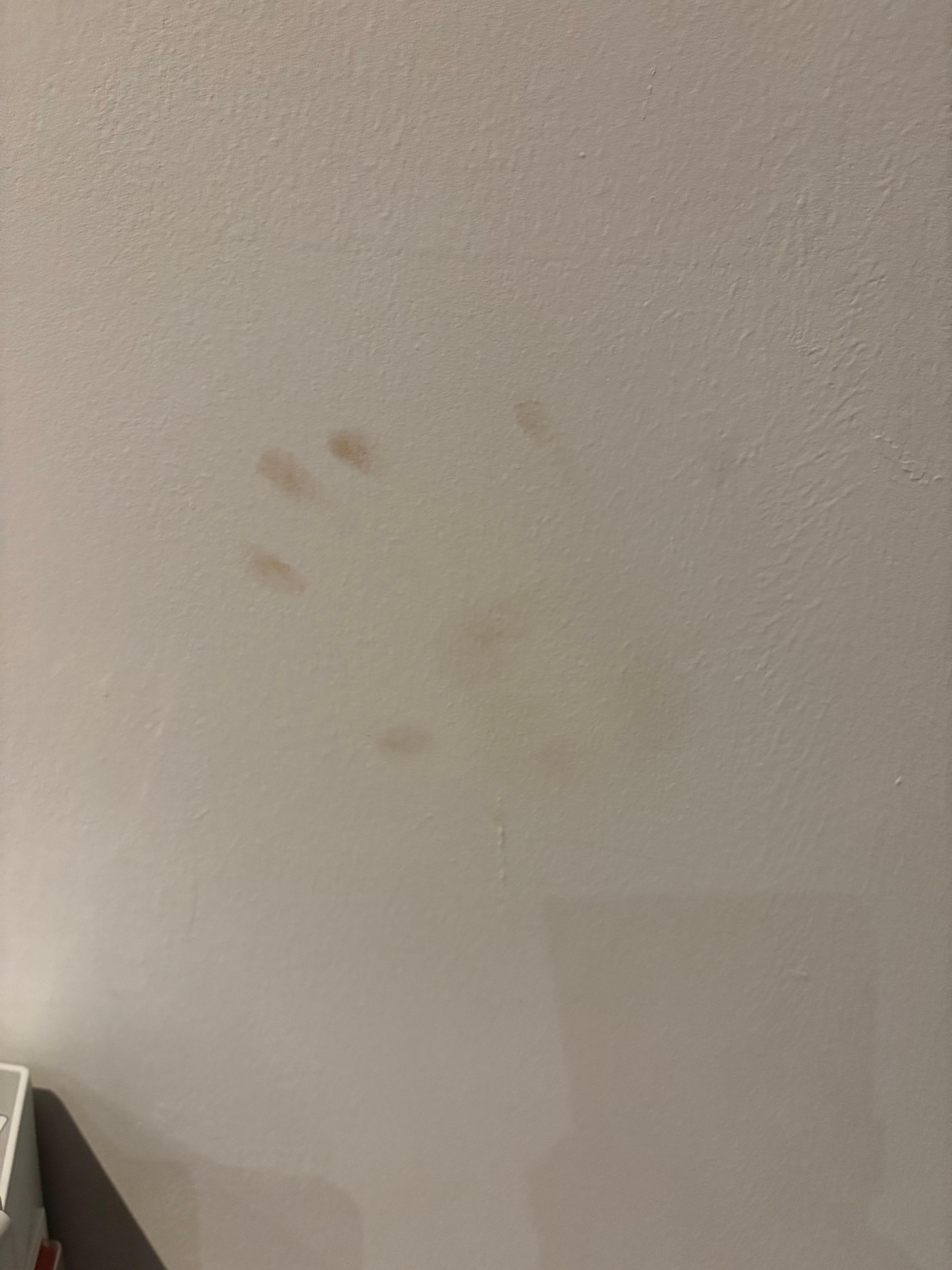 These dirty hand prints were all over the apartment walls and doors 