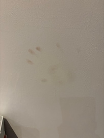 These dirty hand prints were all over the apartment walls and doors