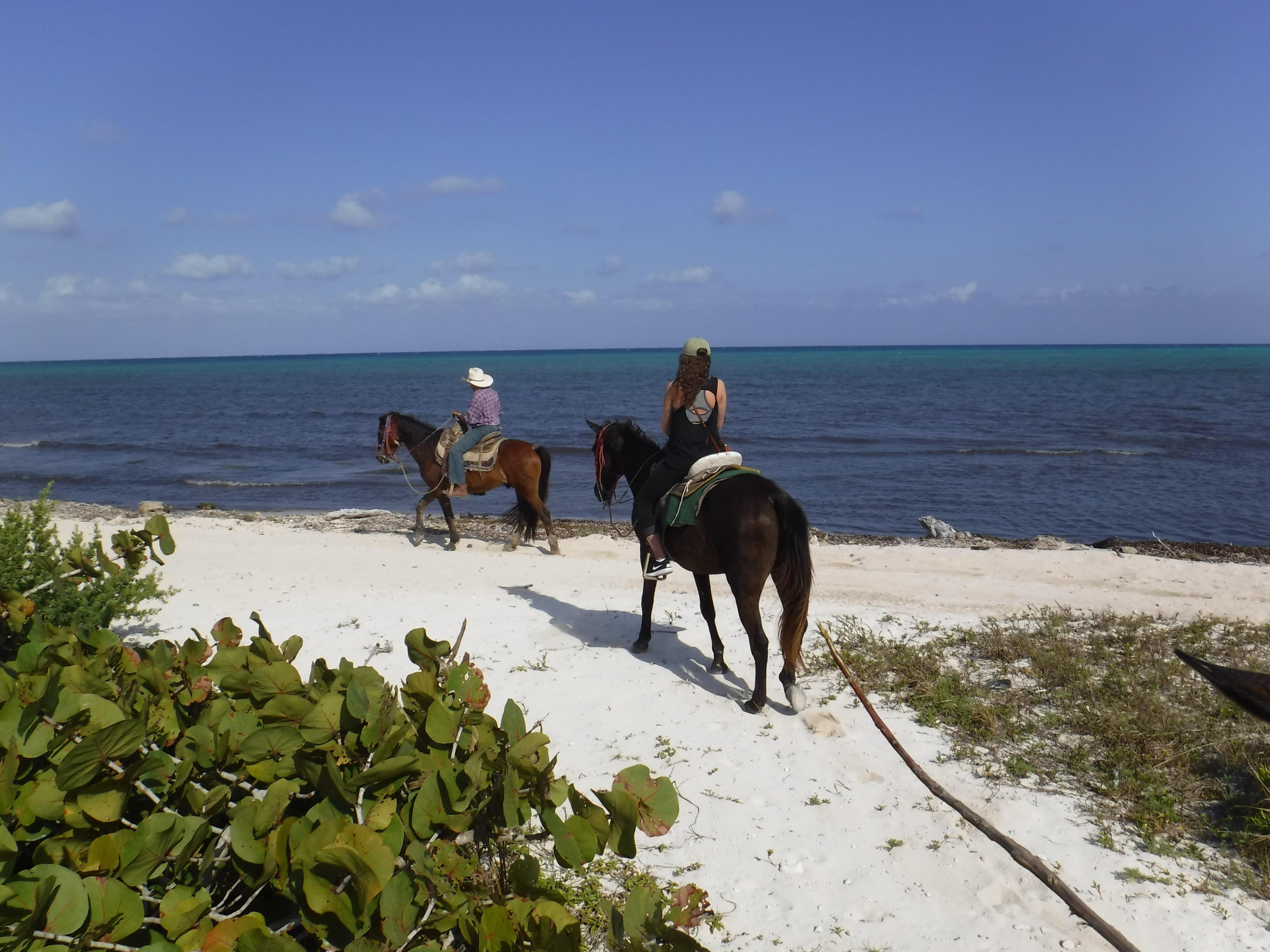 horseback riding on the beach