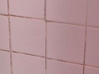 Filth in shower