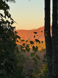Zoomed in view. Can barely see mountains for overgrowth