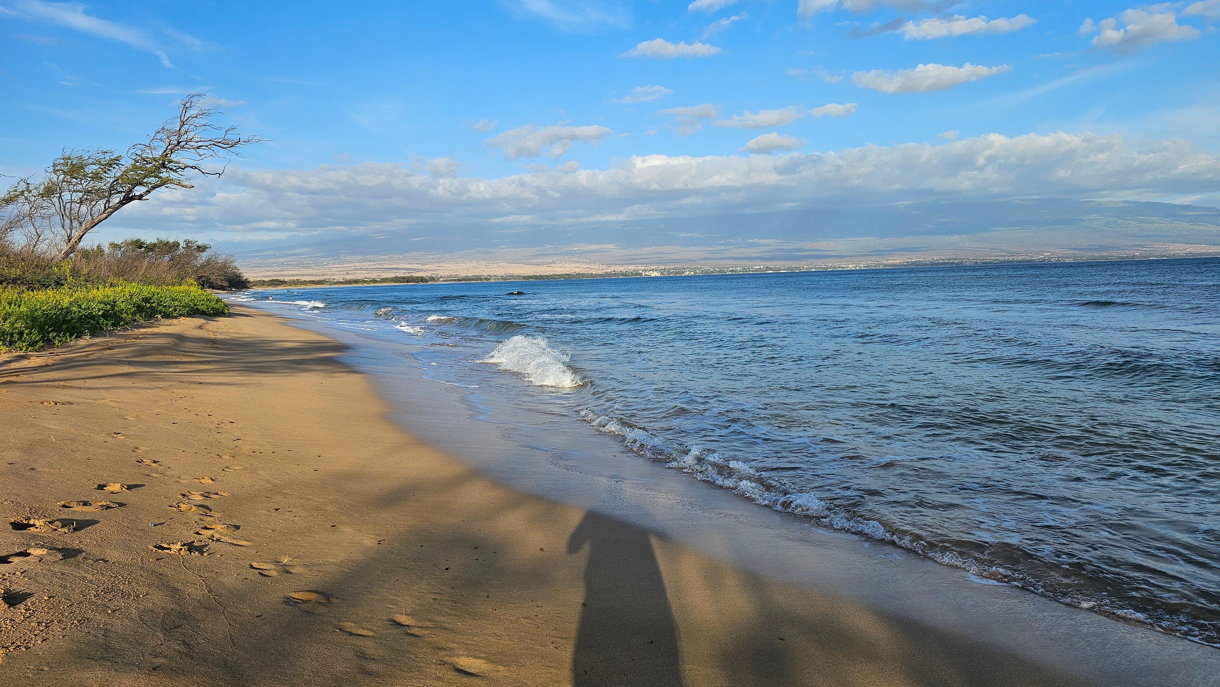 Looking out toward more beach than you can walk right outside the door.  