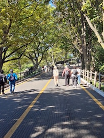 ソウルタワーの道