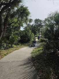 Path to Beach
