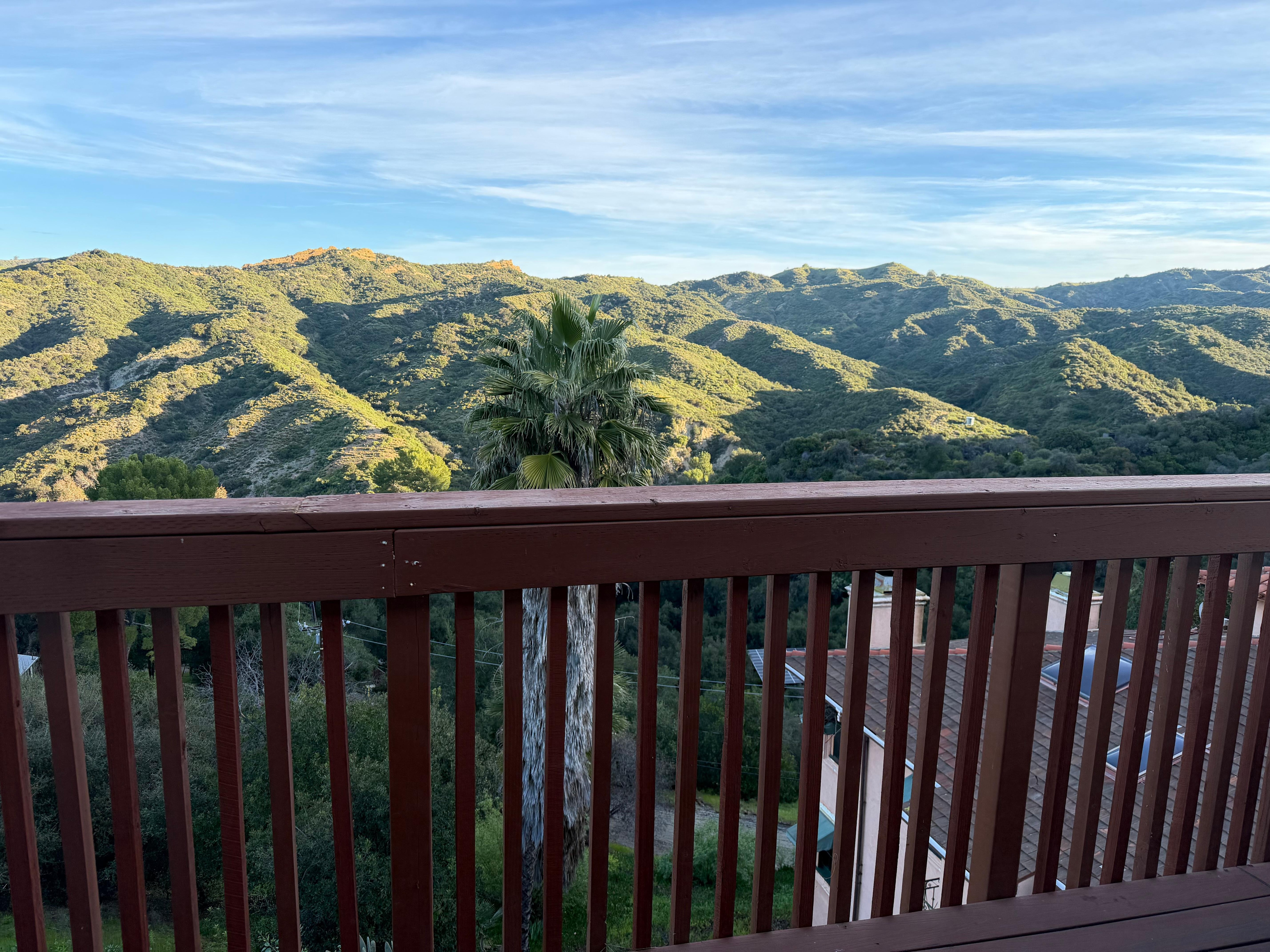 View from the back deck