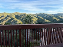 View from the back deck