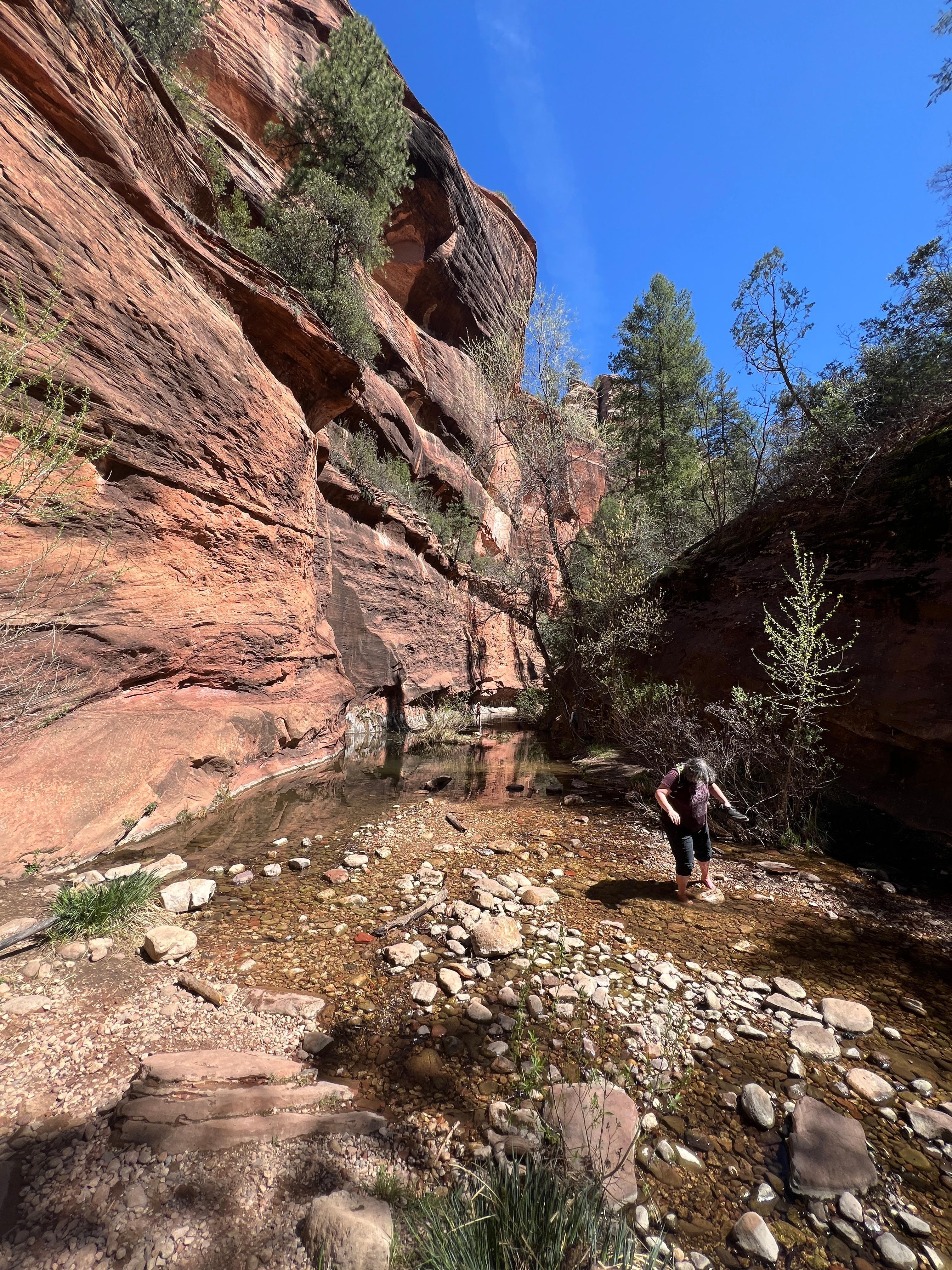 Hiking the West Branch of Oak Creek