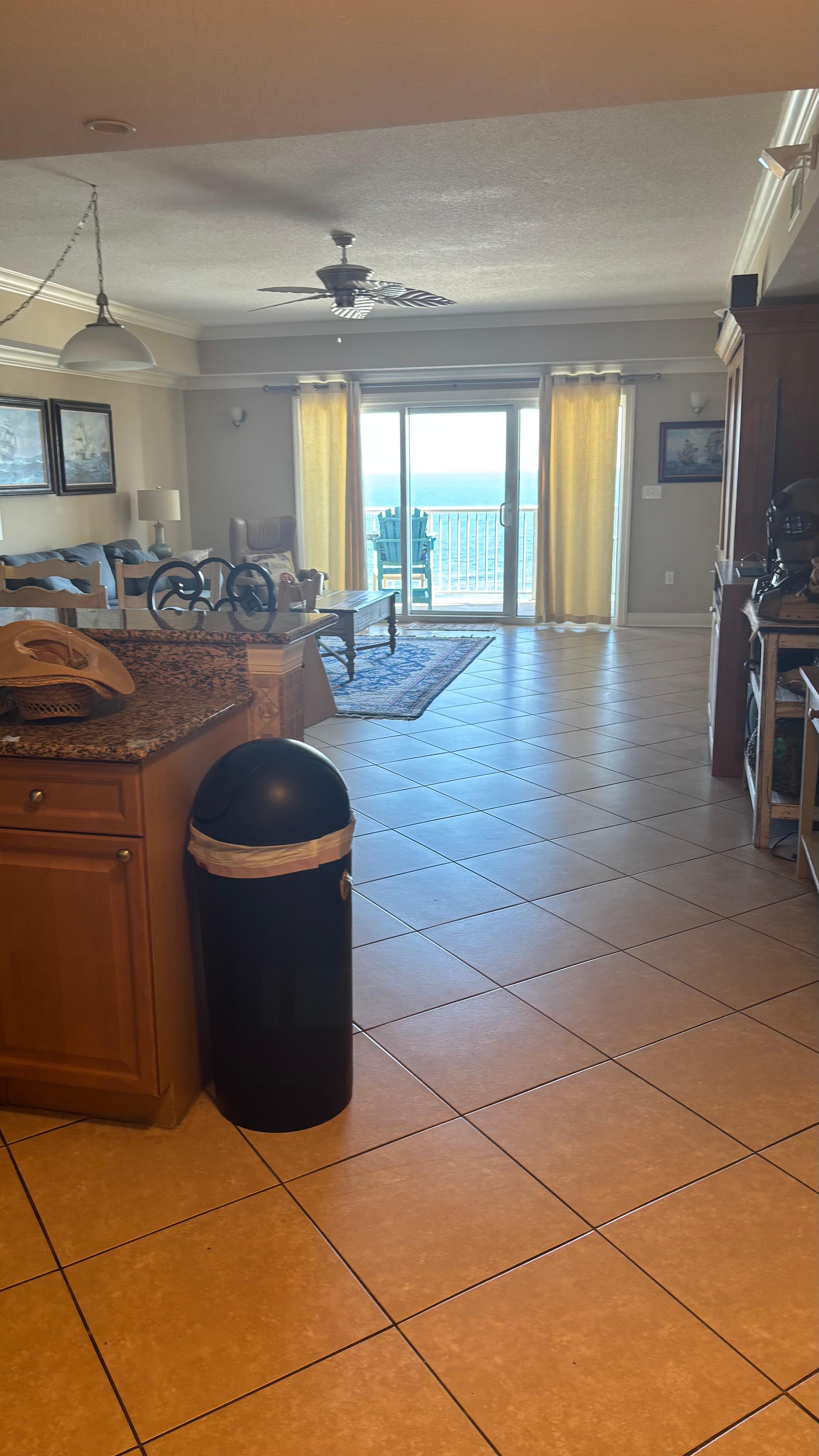 Dinning/living great room