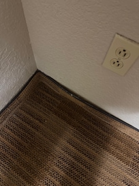 Carpet coming up