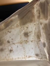 Feather duvet on king size bed.