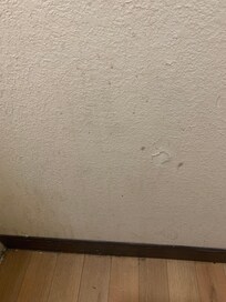 Bathroom walls were streaked with unknown substance. Paint peeling.