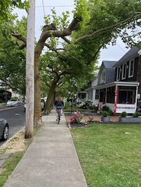 Easy bike ride down Washington St