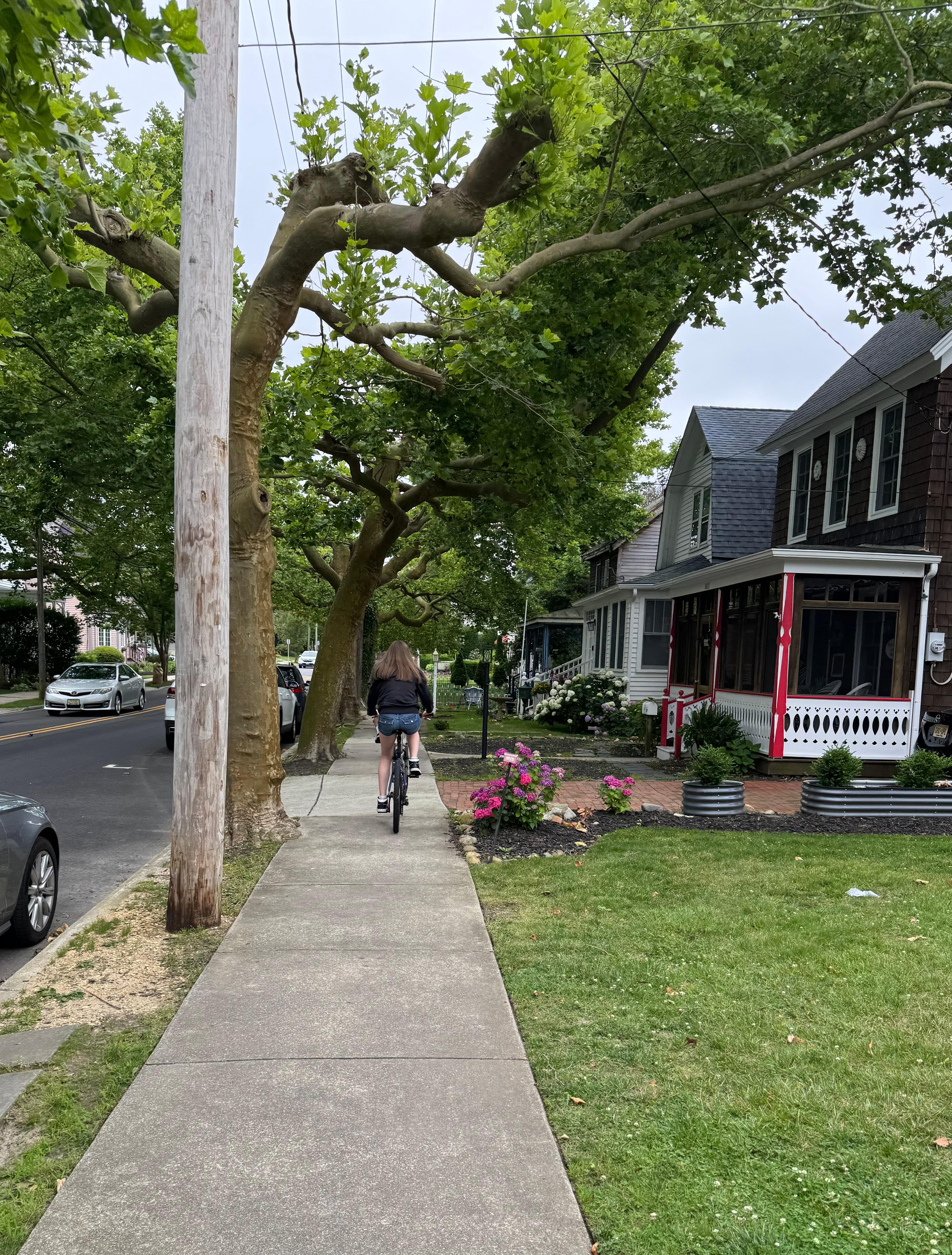 Easy bike ride down Washington St