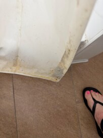 Mold covering dirty shower curtain