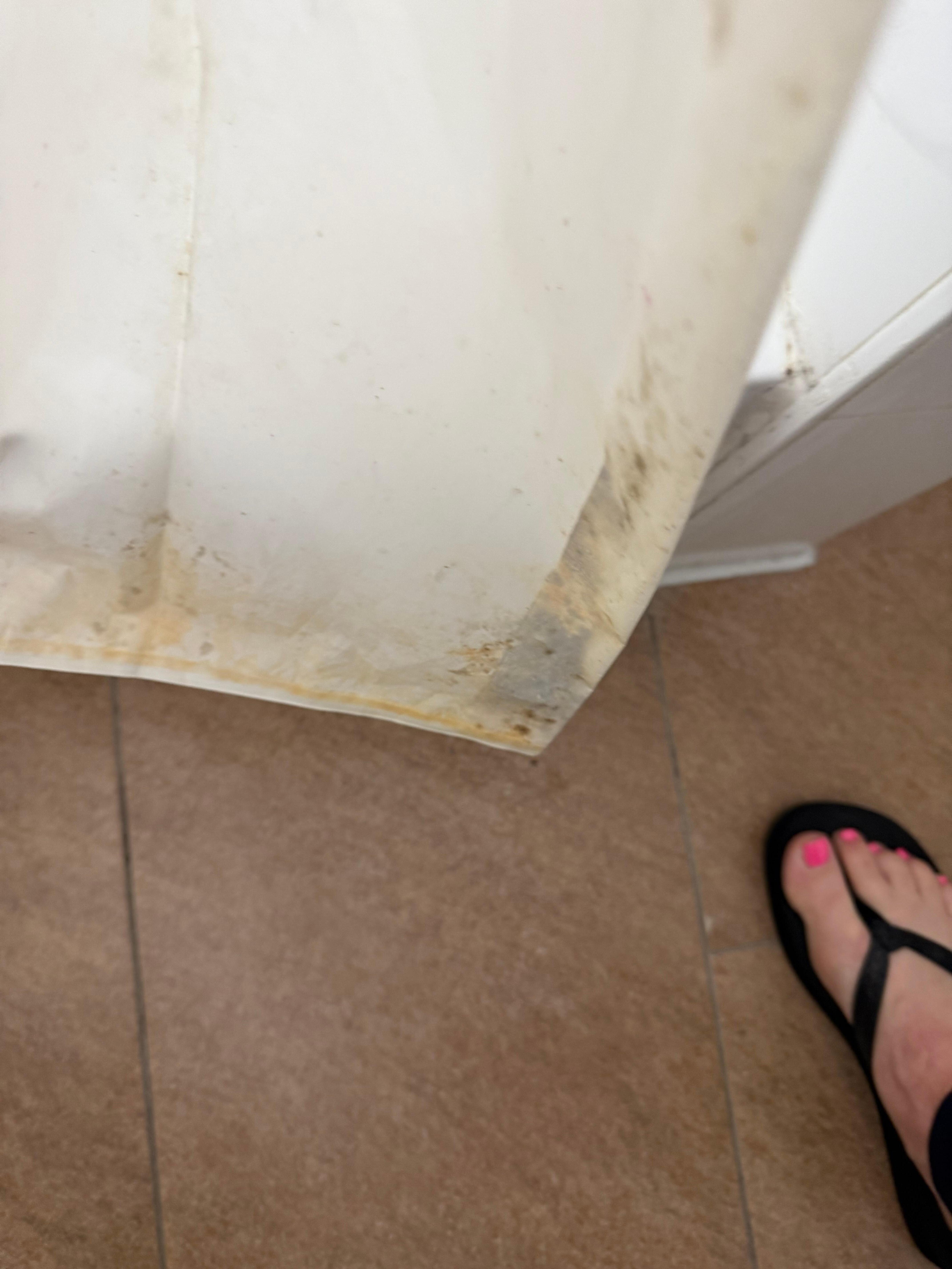 Mold covering dirty shower curtain 