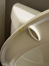 On the toilet nasty.