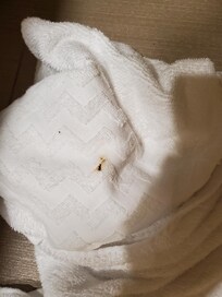 Serviettes de bain tâchées