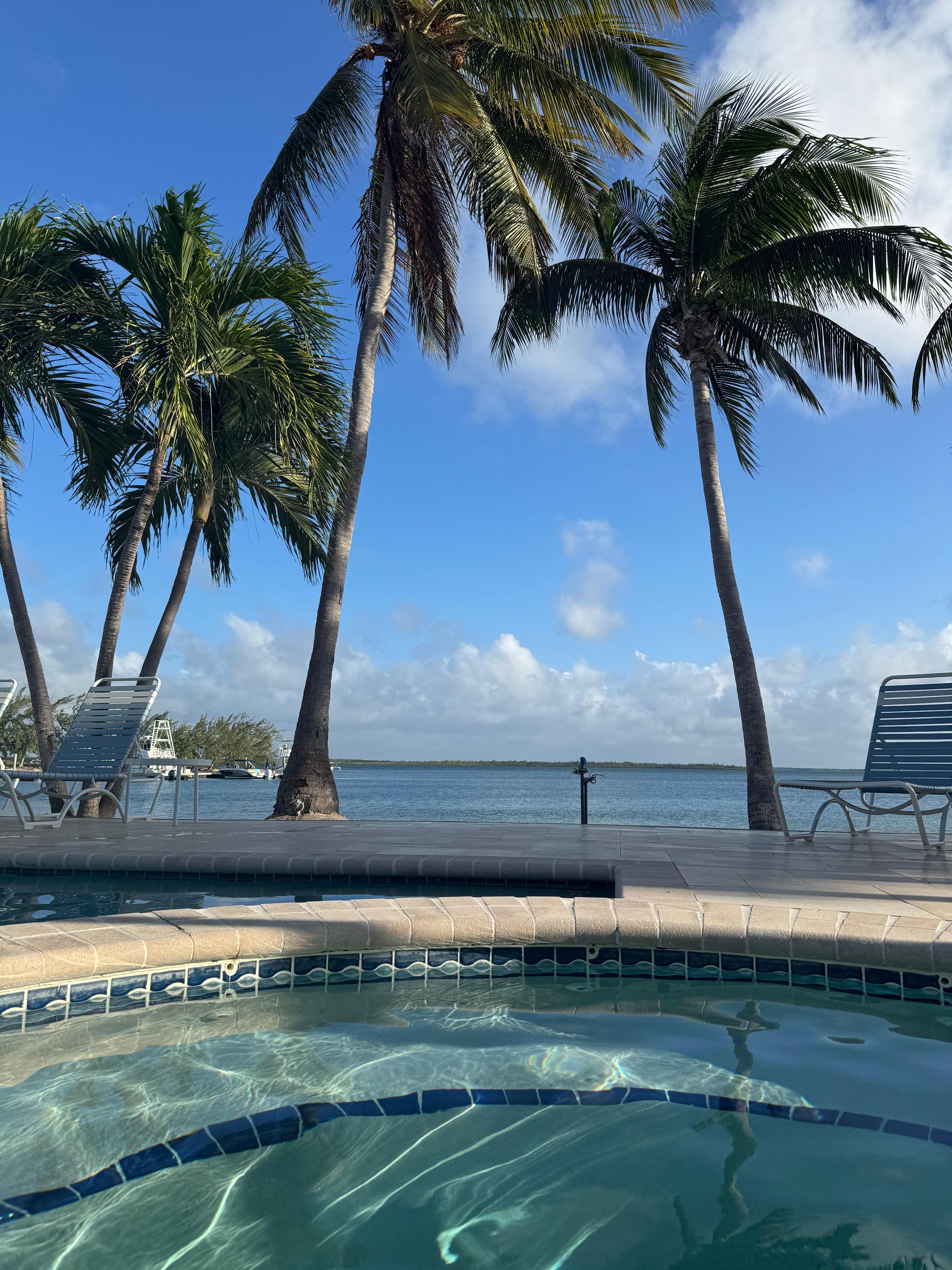 View from the pool/hot tub