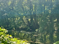 The area is beautiful!
