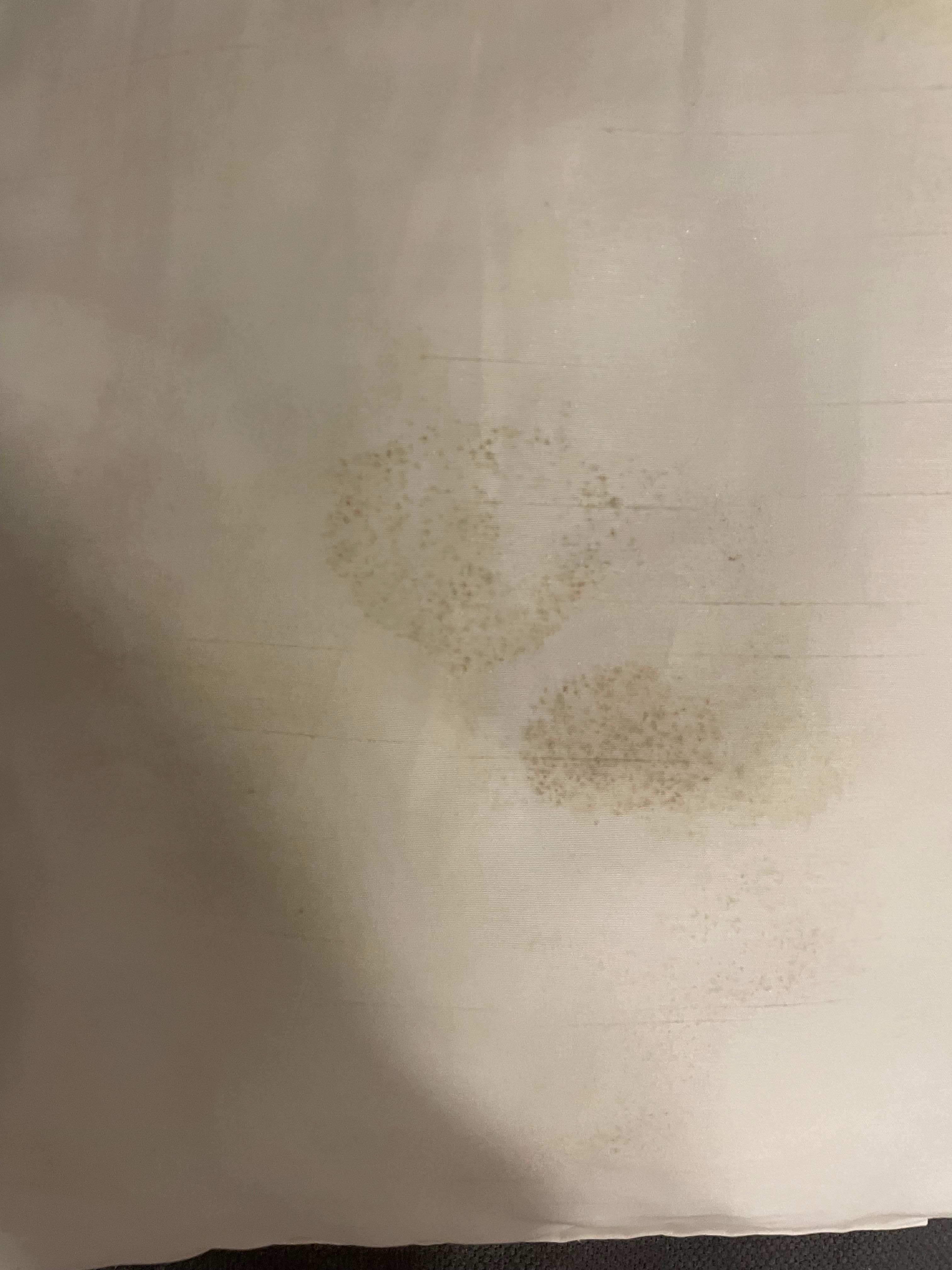 Mold on pillows