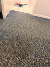 Badly stained carpet