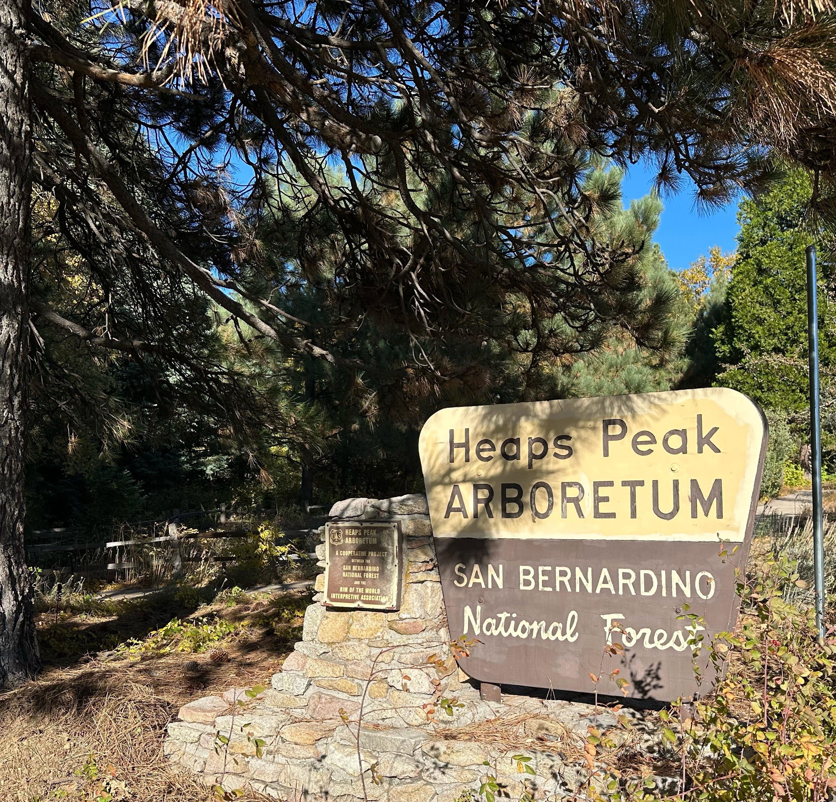 An easy one mile walk among the tree close to the cabin