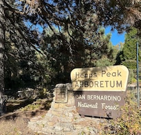 An easy one mile walk among the tree close to the cabin