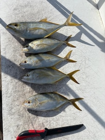 Local fishing charter