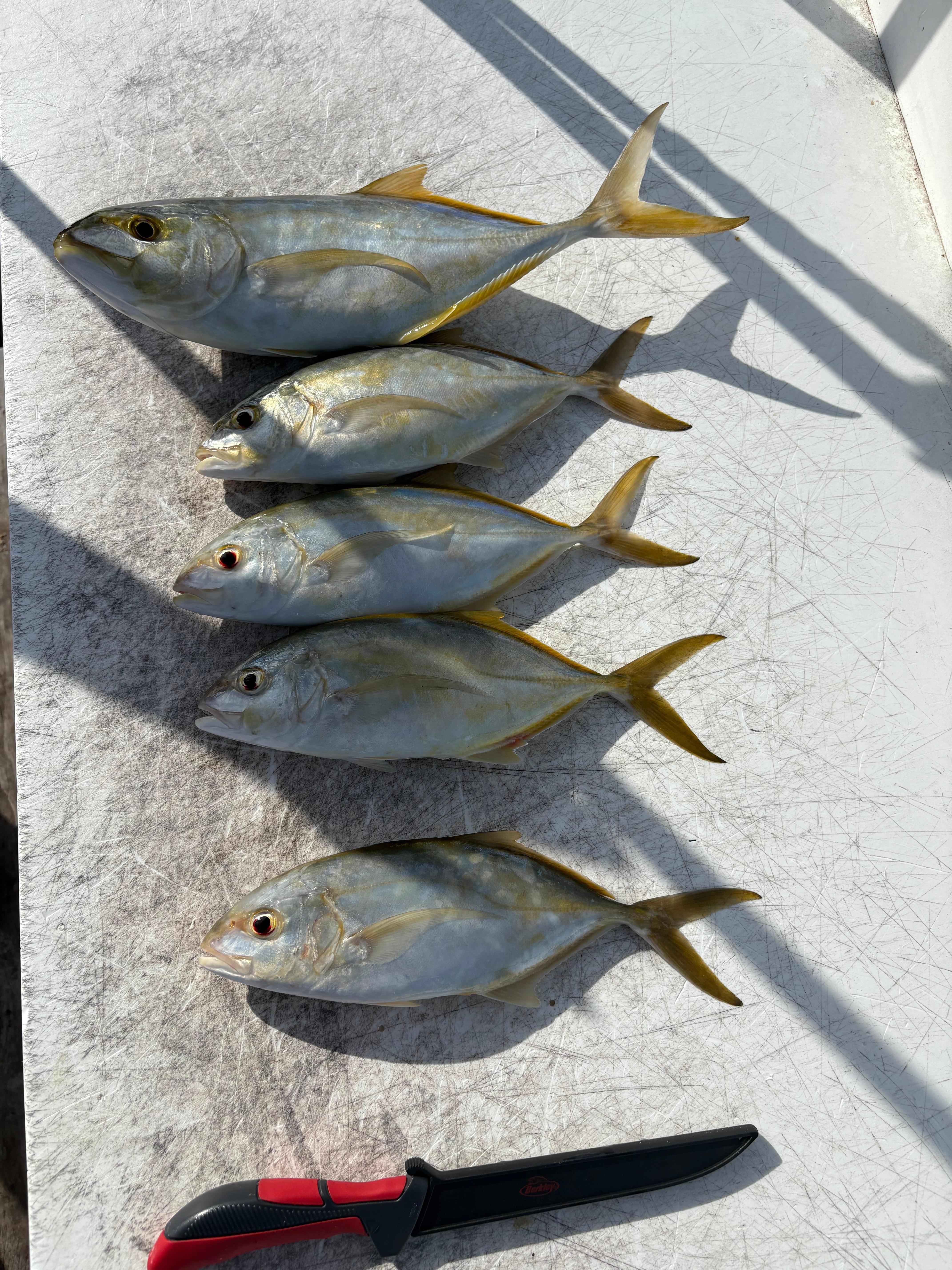 Local fishing charter