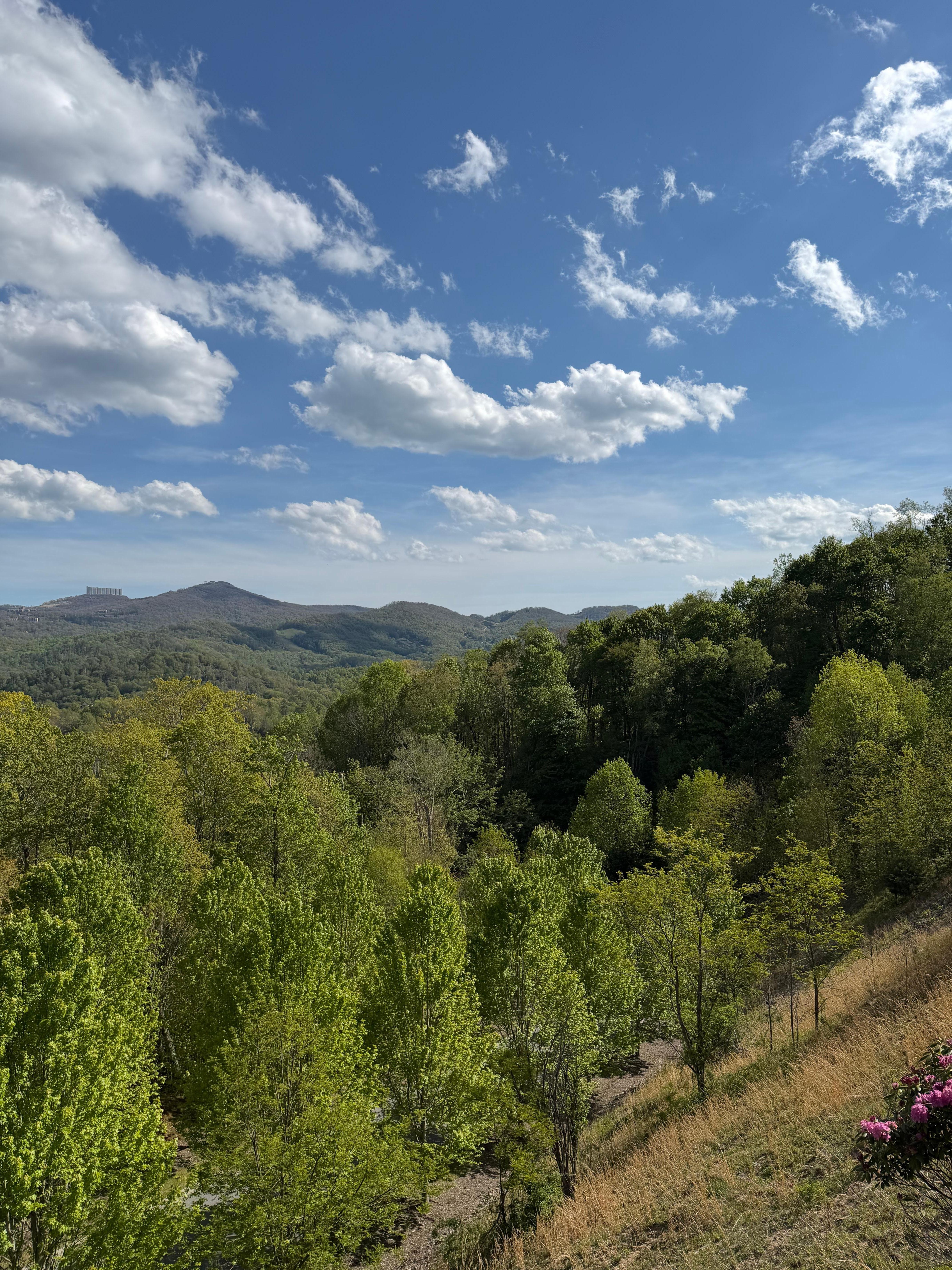 Taken from the back deck