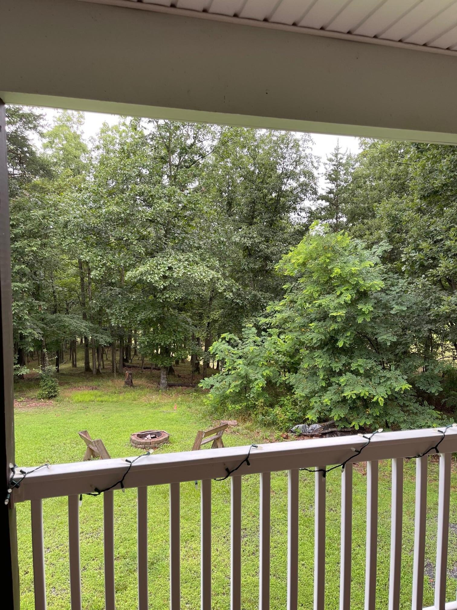 Our view from the back porch in the mornings.