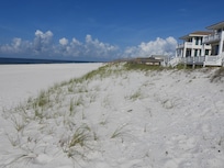 Beautiful natural dunes.