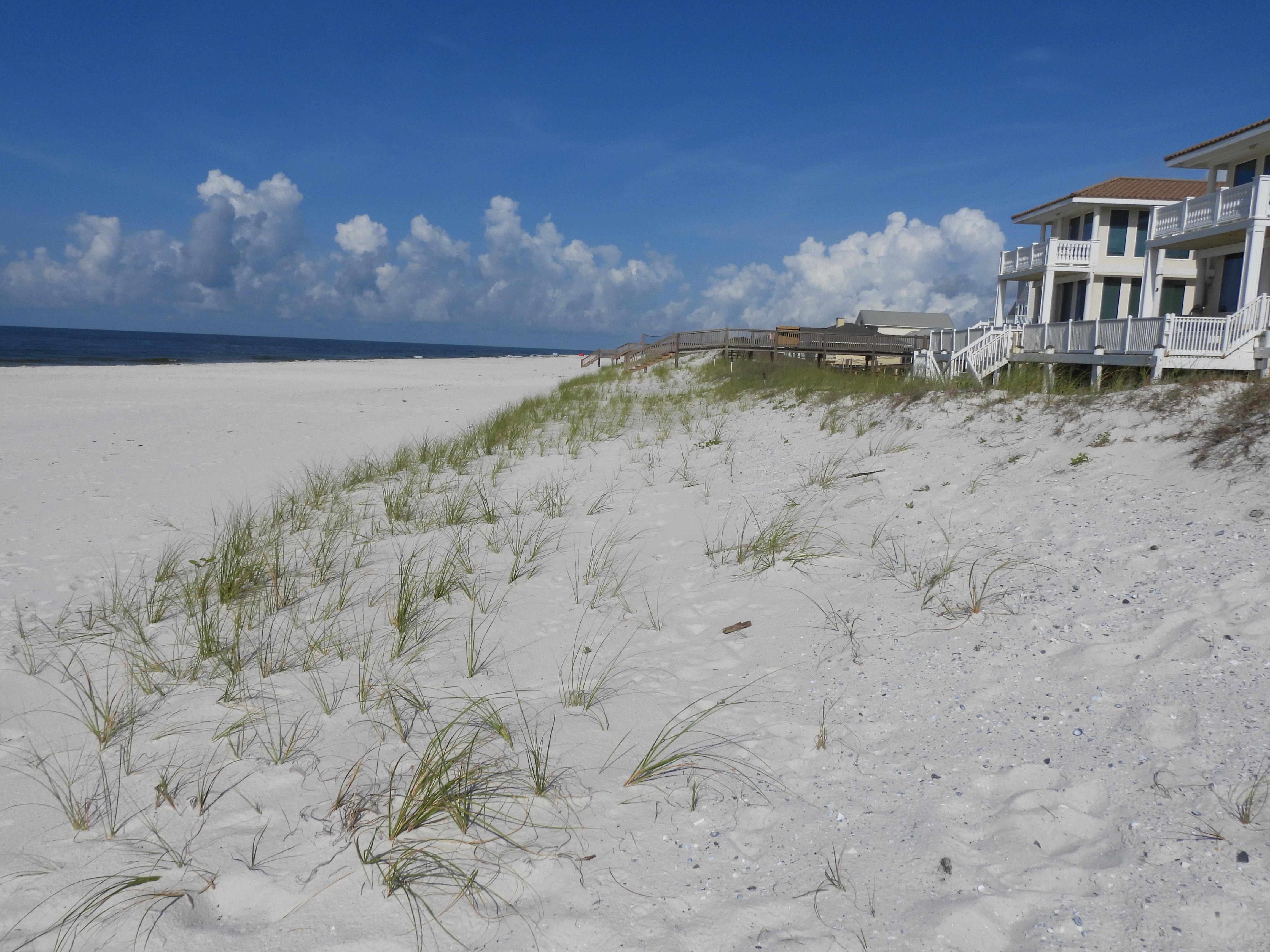 Beautiful natural dunes.