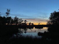 Pietzmoor