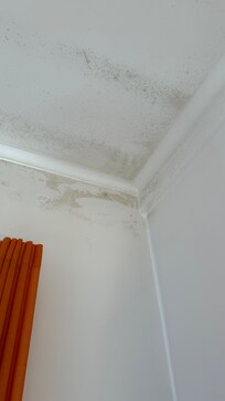 Moldy ceiling