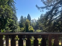The view from the deck
