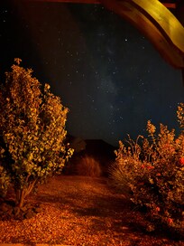Gorgeous clear night sky