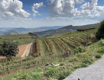 View from the property