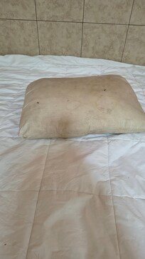 Dirty pillow, no cover, stains on bed sheet.