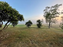 Early morning - from the back of the house