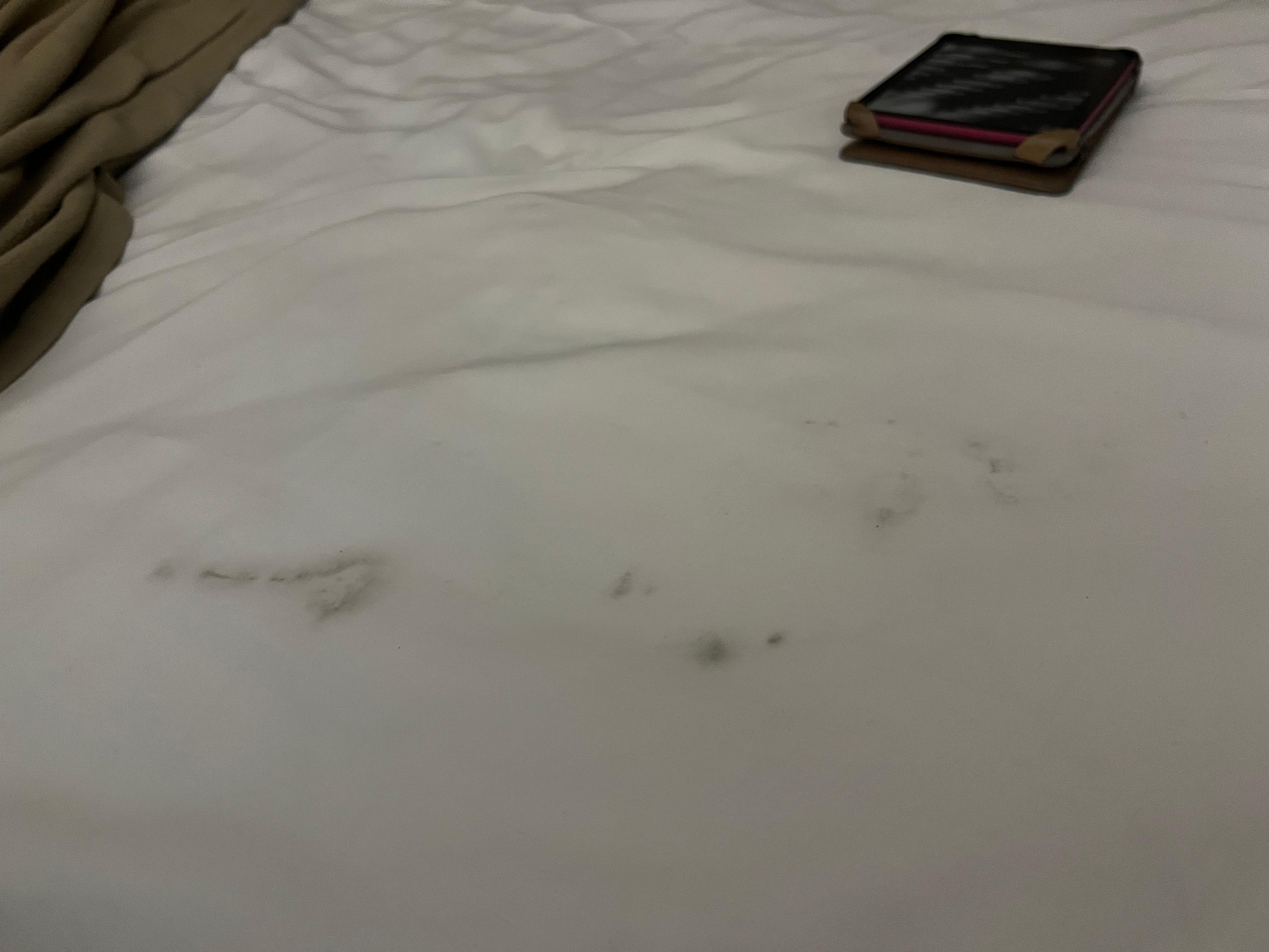 This was the bedsheet 