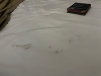 This was the bedsheet